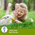 Vitakraft Slims Carrot Small Animal Treats – Light, Healthy Food Bites - Crispy Carrot Treats for Rabbits, Guinea Pigs, 