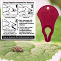 High Visibility Bundle - The Original Tick Key - Tick Detaching Device - Portable, Safe and Highly Effective Tick Detaching Tool (Yellow, Orange & Red)