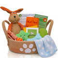 Premium Puppy Starter Kit - New Puppy Gift Basket with Essentials, Toy Box, Treat Tray, Training Supplies, Chew & Squeaky Toys for Puppies and Small Dogs - Complete Dog Must Haves for New Dog Owners