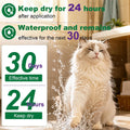 Treatment for Cat | Topical Preventative for Cats | 6 Doses Supply