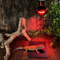 Reptile Basking Platform, 6 x 6 Inches Slate Rock, Food Bowl for Turtles