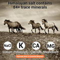 Pack of 4 Compressed 7-8 Lbs Himalayan Salt Licks for Horse Deer