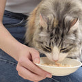 INABA Chicken Stew for Cats, Side Dish/Topper with Vitamin E, 1.4 Ounce Pouch, 8 Pouches Total, Chicken with Cheese Recipe