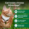Advantage Treatment Spray for Cats, Kills Fleas & Ticks, 8 oz.