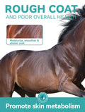 Horse Feed Topper with Flaxseed, High-Fat Feed Mix with Corn & Rice Bran, Easy-Mix Horse Feed Additive 1400g