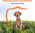 Nutramax Immune Support Supplement for Dogs, Chewable