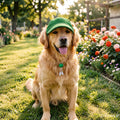 Pet Dog Baseball Cap, Cat Hat, Cat Dog Sun Cap with Ear Holes, Adjustable Puppy Outdoor Sun Hat (Pure Green, Large)