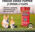 Northwest Naturals Freeze-Dried Beef Liver with Turmeric - Functional Topper for Dogs and Cats - Healthy, Limited Ingred