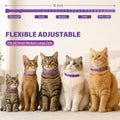 6 Pack Calming Collar for Cats, Pheromone Cat Collar for Stress Support