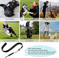 2 Pack Dog Whistle, Dog Whistle to Stop Barking Neighbors Dog, Adjustable Ultrasonic Silent Dog Whistle, Professional Re