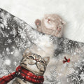 Cute Cat Throw Blanket - Winter Blanket for Cats Dogs Pet Kitten Blankets 23x16 Home Decor for Couch Sofa Bed