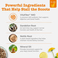 Zesty Paws Scoot Away Soft Chews - Healthy Bowel Function with Bromelain, Vita Fiber for Dogs, & Dandelion Root for Dog Digestive Support and Gut Health - 90 Soft Chews