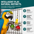 Bird Toys for Large Birds (Impossiball) Stainless Steel Foraging Treat Dispenser for Macaws, Cockatoos, Parakeets & Parr