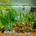 6 Pcs Natural River Stone Plant Weights for Aquarium, Pebble Aquatic Plants Fixed Ring, Aquarium Plant Anchors, Unique S