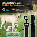 50ft Long Leash for Dogs - Long Line Dog Leash for Training Recall/Commands at Distance - Nylon, Heavy Duty - Ideal for Large & Small Breeds