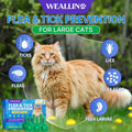 WEALLIN Flea and Tick Prevention for Large Cat, Fleas and Ticks Treatment for Cats Over 9 lbs, Topical Cat Flea Treatment, Fast-Acting & Long-Lasting Fleas Control for Cats, 6-Dose Supply