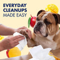 Arm & Hammer Heavy Duty Multipurpose Dog Wipes, Mango, 100 Count