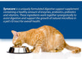 Synacore Feline - (30 Count) All Natural Formula to Provide Immune Support for Cats & Help Maintain Digestive Health - Probiotics and Vitamins for Cats - Natural Pet Products