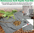 Diatomite Reptile Basking Platform Turtle Feeding Slate11.8x7.9