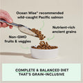 Open Farm Ancient Grains Dry Dog Food, Wild Caught Salmon Kibble, 22lb Bag