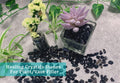 MAIBAOTA Natural Black Obsidian Crystal Quartz Rocks Chips Vase Filler Rocks for Succulent Plant Small Fish Tank Aquariu