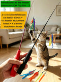 52 Pack Interactive Cat Toys Variety Set for Indoor Cats