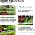 Triple-Chamber Fish Breeder Box for Fish Tank, Guppy Fry Nursery