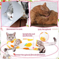Nuanchu 3 Pieces Cat Recovery Suit Kitten Recovery Suit E-Collar Alternative for Cats and Dogs Abdominal Skin Anti Licking Pajama Clothes Sets(Medium,Fruit Style,Colorful)