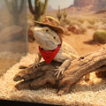 Bearded Dragon Costume - Adjustable Bearded Dragon Cowboy Hat and Red Bandana Scarf Lizard Outfits Halloween Costume Pho