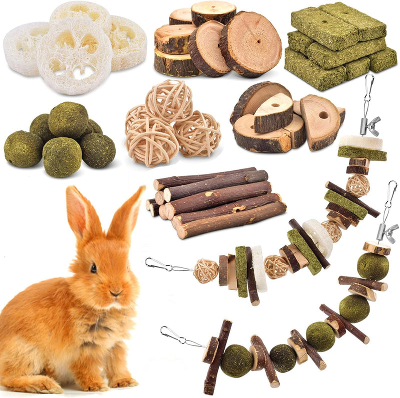 KATUMO Rabbit Chew Toys, Bunny Toys Apple Wood Grass Timothy Treat