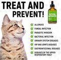 Dog Antibiotics for Infections, Kennel Cough, Wounds, UTIs, Allergies, Itching – Natural Antibiotics for Cats to Support Skin, Coat, & Digestion – Liquid Form for Oral Use – All Pet Ages – 2 oz