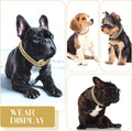 Tallew Gold Dog Chain Diamond Collar Walking Metal Chain Necklace with Secure Buckle Pet Cuban Style Collar Jewelry Accessories for Small Medium Large Dog Cats (10 inch)