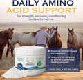 100-Day Supply Equinety Horse XL Powder Horse Supplement with Amino Acids