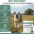 Chew + Heal Labs Glucosamine for Dogs Hip and Joint Supplement - 60 Senior Dogs Mobility Soft Chews - Made with Glucosamine, MSM, Chondroitin, Green Lipped Mussels and More - Made in The USA
