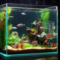 2Pcs Aquarium Fish Feeder Feeding Tray with Suction Cup, Feeding Tube Tank Divider Aquarium Breeder Box Fish Bowls Acces