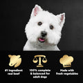 Cesar Wholesome Bowls Adult Wet Dog Food,Beef,Chicken,Purple Potatoes & Carrots,Wet Food for Dogs,3 Oz. Bowls