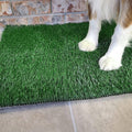Grass Pad with Tray 20"x16", Dog Litter Box for Puppy Training