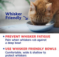 Stainless Steel Cat Bowls for Food & Water by Americat – Made in USA – Dishwasher Safe, Human Grade, Whisker Friendly Dishes (2 Bowls)