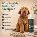 Doodle Shampoo and Conditioner - Best Dog Shampoo for Goldendoodle, Poodles, Doodle Breeds - for Curly & Wavy Coats - Natural Ingredients - Made in USA 16 Fl Oz