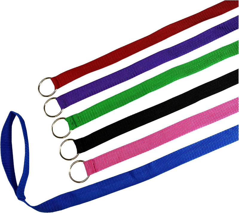 Downtown Pet Supply - 6ft Dog Kennel Slip Lead - Veterinarian, Grooming, Daycare & Rescue Supplies - One Size Leads for 