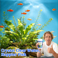 Fish Tank Water Purification Tablets - Clarify Water (1)