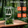 AZV Jumping Spider Enclosure Kit,Pre-Assembled 3 x 3 x 6 in Acrylic Habitat