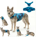 Dog & Cat Surgery Recovery Suit and Anxiety Wrap