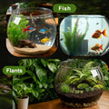 Geelin 1 Gallon Plastic Fishbowl Round Large Clear Shatterproof Tank