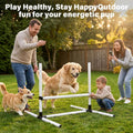 Zousiv Adjustable Dog Agility Jump Set for Training, Durable Hurdle Bar Equipment with Storage Bag, Easy Setup Indoor & Outdoor Canine Exercise Kit