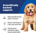 Hill's Science Diet Puppy Sensitive Stomach & Skin Wet Dog Food, Salmon & Vegetable Stew, 12.5 oz. Cans, 12-Pack