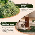 Fantasreen 35" Cat Scratching Post with Track Ball & Toys, Lucky Cat Scratcher