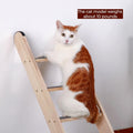 SHENGOCASE Solid Wood Wall Leaning Cat Ladder for Indoor Cats and Small Medium Dog, Stair Step for Window Bed, Wall Clim