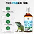 SILVER GRADE Reptile Antibiotics Mouth Rot Spray for Snakes & Lizards