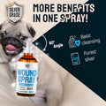 SILVER GRADE Wound Spray for Pets – Colloidal Silver Wound Care for Dogs & Cats – Helps with Skin Irritation, Hot Spots, Rashes, Scratching, Itch, Bites & Burns – Use a Dog Cone – 4 oz